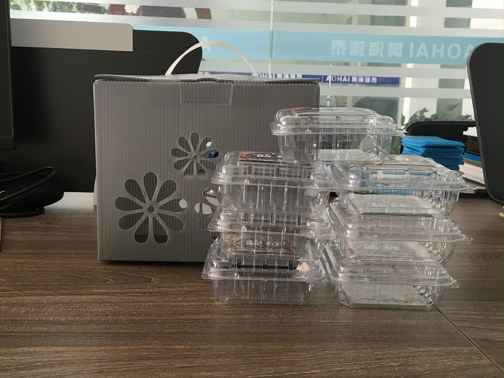 中空板藍(lán)莓禮品盒