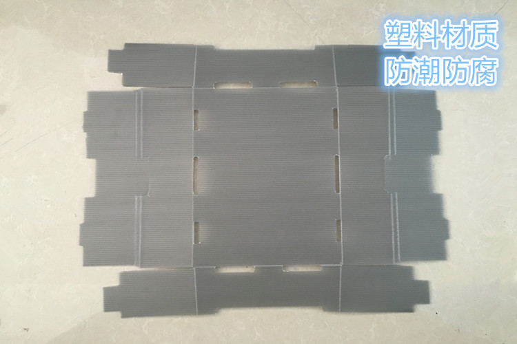 折疊中空板藍(lán)莓箱 (2)_副本.jpg